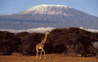 Customized Safaris in Kenya - www.PhotoSafaris.travel