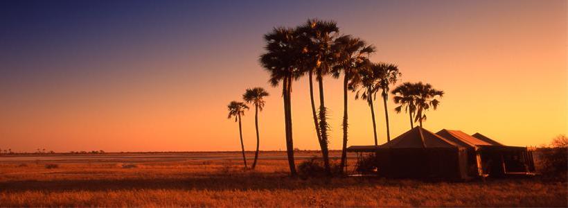 Desert and Deltas Botswana Safari (7 Days) - www.PhotoSafaris.travel