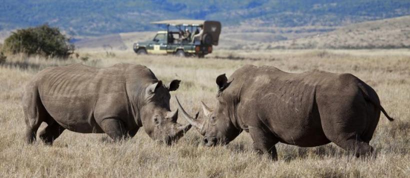 Lewa Safari Camp (Lewa Wildlife Conservancy) Kenya - www.PhotoSafaris.travel