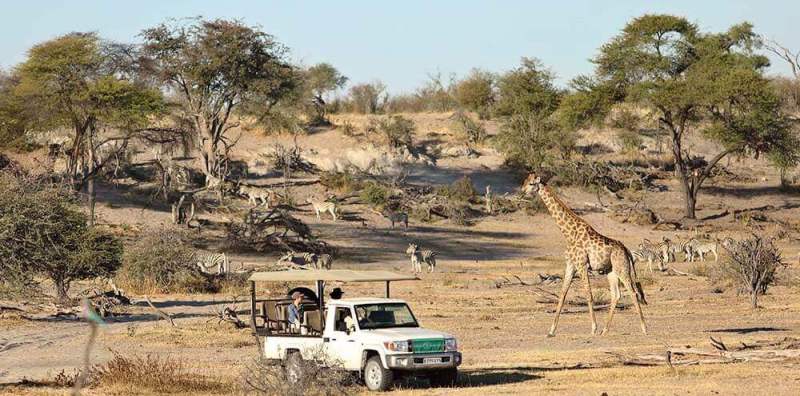 Two Sides of Botswana Safari (7 Days) - www.PhotoSafaris.travel