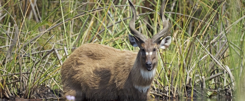  The Contrasts of Botswana Safari (9 Days) - www.PhotoSafaris.travel
