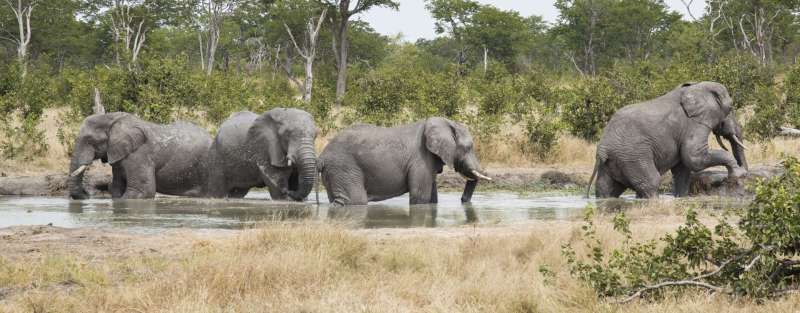 Camp Kuzuma - www.PhotoSafaris.travel
