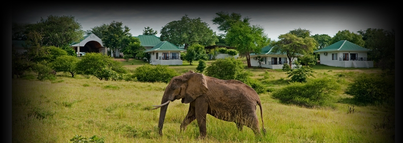 Chichele Presidential Lodge, Zambia - www.PhotoSafaris.travel