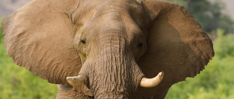Journey Through Northern Namibia (7 Days) - www.PhotoSafaris.travel