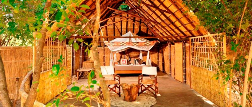 Luwi Bush Camp (South Luangwa National Park) Zambia - www.PhotoSafaris.travel
