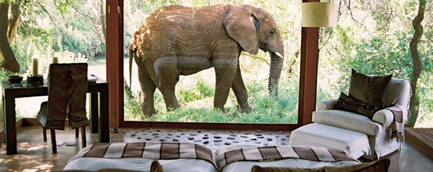 Makanyane Safari Lodge (Madikwe Game Reserve) South Africa - www.PhotoSafaris.travel