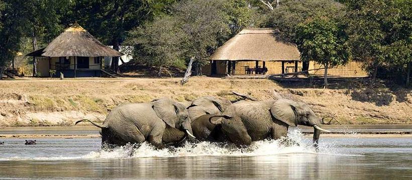 The North Luangwa Walking Safari (11 Days) - www.Photosafaris.travel