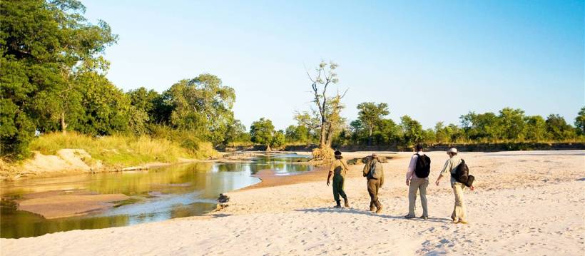 Nsolo Bush Camp (South Luangwa National Park) Zambia - www.PhotoSafaris.travel
