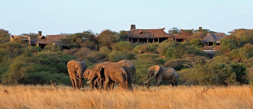 Ol Donyo Lodge (Amboseli National Park / Chyulu Hills Region) Kenya - www.PhotoSafaris.travel