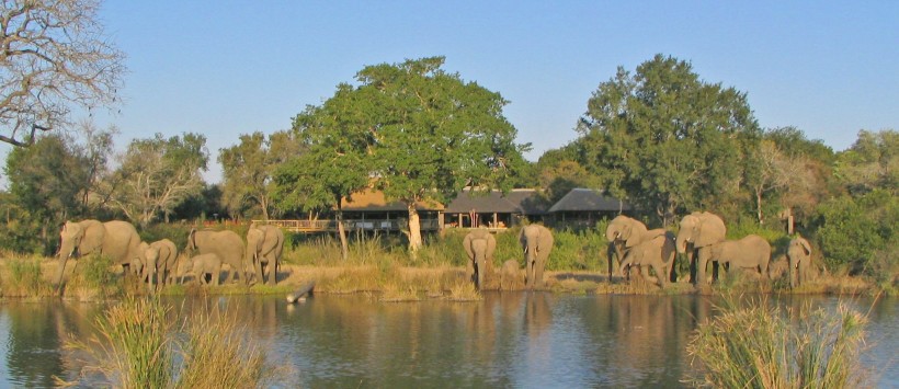 Sabi Sabi Little Bush Camp (Sabi Sand Game Reserve) South Africa - www.PhotoSafaris.travel