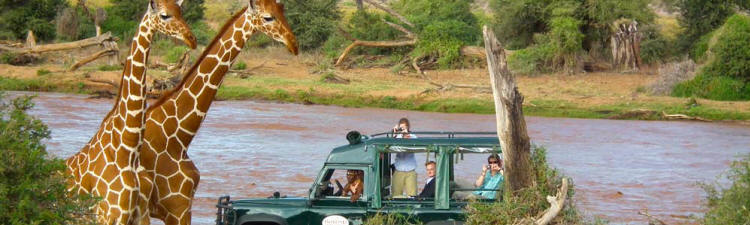 Samburu Intrepids (Samburu Game Reserve) Kenya - www.PhotoSafaris.travel