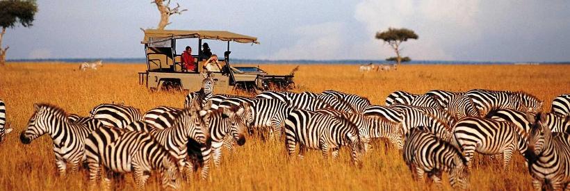 Saruni Lodge (Masai Mara Game Reserve) Kenya - www.PhotoSafaris.travel