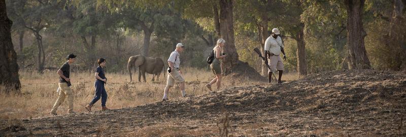 Zambezi Expeditions, Mana Pools - www.PhotoSafaris.travel