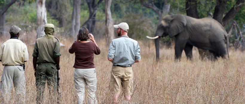 The Luangwa Encounter Walking Safari (9 Days) - www.Photosafaris.travel