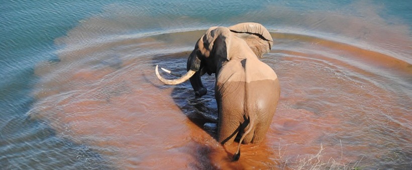 Changa Safari Camp, Lake Kariba - www.PhotoSafaris.travel